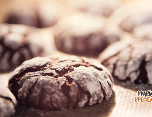 Vynikajúce čokoládové sušienky, ktoré lákajú krásnym popraskaným vzhľadom! Chrumkavé zvonka, mäkké vo vnútri, to sú neodolateľné „CRINKLES“!